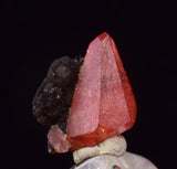 0.9cm RHODOCHROSITE CRYSTALS PERU OLD STOCK UCHUCCHACUA MINERAL SPECIMEN RB748