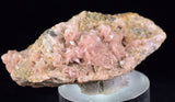 4.6cms RHODOCHROSITE JULIA FISK MINE COLORADO U S A CRYSTALS RB683