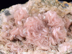 4.6cms RHODOCHROSITE JULIA FISK MINE COLORADO U S A CRYSTALS RB683