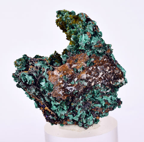 3.8cms MALACHITE CRYSTALS MINERAL SPECIMEN AHOULI MINES MOROCCO UB297