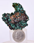3.8cms MALACHITE CRYSTALS MINERAL SPECIMEN AHOULI MINES MOROCCO UB297