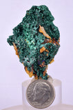 3.4cms MALACHITE CRYSTALS MINERAL SPECIMEN AHOULI MINES MOROCCO UB301