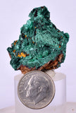 3.4cms MALACHITE CRYSTALS MINERAL SPECIMEN AHOULI MINES MOROCCO UB301