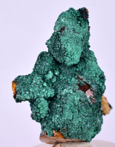 3.4cms MALACHITE CRYSTALS MINERAL SPECIMEN AHOULI MINES MOROCCO UB302