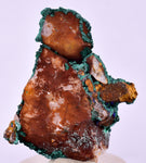 3.4cms MALACHITE CRYSTALS MINERAL SPECIMEN AHOULI MINES MOROCCO UB302