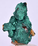 3.4cms MALACHITE CRYSTALS MINERAL SPECIMEN AHOULI MINES MOROCCO UB302