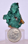 3.4cms MALACHITE CRYSTALS MINERAL SPECIMEN AHOULI MINES MOROCCO UB302