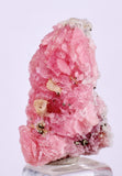 2.4cms RHODOCHROSITE PYRITE CHINA CRYSTAL RHOMBOHEDRAL MINIATURE RB685