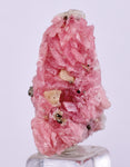 2.4cms RHODOCHROSITE PYRITE CHINA CRYSTAL RHOMBOHEDRAL MINIATURE RB685