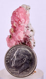 2.4cms RHODOCHROSITE PYRITE CHINA CRYSTAL RHOMBOHEDRAL MINIATURE RB685