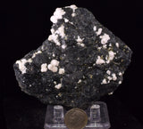 8cms MANGANO CALCITE PYRITE GALENA CRYSTALS PERU MINERAL SPECIMEN VB42