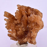 4cms CITRINE CRYSTALS MOROCCO MINERAL SPECIMEN AB276