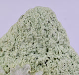 10.8cms FUCHSITE QUARTZ CRYSTALS Mineral Specimen Collector Peru AB278