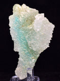 9.3ms DRUZY GEM SILICA CHRYSOCOLLA CHALCEDONY BOTRYOIDAL LILY MINE PERU DB113