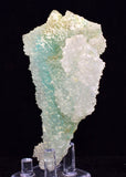9.3ms DRUZY GEM SILICA CHRYSOCOLLA CHALCEDONY BOTRYOIDAL LILY MINE PERU DB113