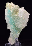 9.3ms DRUZY GEM SILICA CHRYSOCOLLA CHALCEDONY BOTRYOIDAL LILY MINE PERU DB113