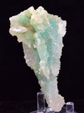 9.3ms DRUZY GEM SILICA CHRYSOCOLLA CHALCEDONY BOTRYOIDAL LILY MINE PERU DB113