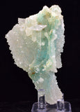 9.3ms DRUZY GEM SILICA CHRYSOCOLLA CHALCEDONY BOTRYOIDAL LILY MINE PERU DB113