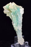 9.3ms DRUZY GEM SILICA CHRYSOCOLLA CHALCEDONY BOTRYOIDAL LILY MINE PERU DB113