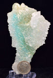 9.3ms DRUZY GEM SILICA CHRYSOCOLLA CHALCEDONY BOTRYOIDAL LILY MINE PERU DB113