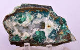 7.9cms DRUZY CHRYSOCOLLA QUARTZ CRYSTAL LILY MINE PERU 2000 YEAR DB243