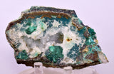 7.9cms DRUZY CHRYSOCOLLA QUARTZ CRYSTAL LILY MINE PERU 2000 YEAR DB243