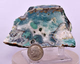 7.9cms DRUZY CHRYSOCOLLA QUARTZ CRYSTAL LILY MINE PERU 2000 YEAR DB243