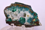 7.9cms DRUZY CHRYSOCOLLA QUARTZ CRYSTAL LILY MINE PERU 2000 YEAR DB243