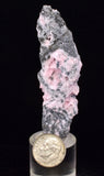7.2cms RHODOCHROSITE PYRITE CALCITE CRYSTALS GALENA PERU RB755