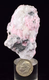 5.9cms RHODOCHROSITE PYRITE CALCITE CRYSTALS GALENA PERU RB756