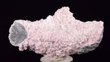 7.3cms RHODOCHROSITE PYRITE CALCITE CRYSTALS GALENA PERU RB758