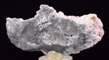 7.3cms RHODOCHROSITE PYRITE CALCITE CRYSTALS GALENA PERU RB758