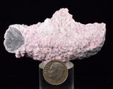 7.3cms RHODOCHROSITE PYRITE CALCITE CRYSTALS GALENA PERU RB758