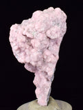 4.5cms RHODOCHROSITE PYRITE CALCITE CRYSTALS GALENA PERU RB761