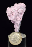 4.5cms RHODOCHROSITE PYRITE CALCITE CRYSTALS GALENA PERU RB761