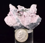4.9cms RHODOCHROSITE PYRITE CALCITE CRYSTALS GALENA PERU RB762