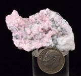 5.1cms RHODOCHROSITE PYRITE CALCITE CRYSTALS GALENA PERU RB764