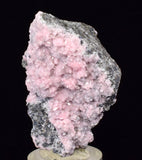 4.8cms RHODOCHROSITE PYRITE CALCITE CRYSTALS GALENA PERU RB766