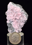 4.8cms RHODOCHROSITE PYRITE CALCITE CRYSTALS GALENA PERU RB766