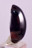 24.5cts CABOCHON PROUSTITE RUBY SILVER PERU UCHUCCHACUA BB494