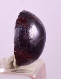 16.5cts CABOCHON PROUSTITE RUBY SILVER PERU UCHUCCHACUA BB495