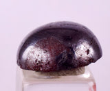 16.5cts CABOCHON PROUSTITE RUBY SILVER PERU UCHUCCHACUA BB495