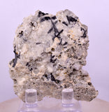 6.4cms NATIVE GOLD FERBERITE QUARTZ CRYSTAL MINERAL LB226