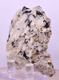 6.4cms NATIVE GOLD FERBERITE QUARTZ CRYSTAL MINERAL LB226