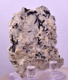 6.4cms NATIVE GOLD FERBERITE QUARTZ CRYSTAL MINERAL LB226