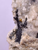 6.4cms NATIVE GOLD FERBERITE QUARTZ CRYSTAL MINERAL LB226