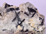 6.4cms NATIVE GOLD FERBERITE QUARTZ CRYSTAL MINERAL LB226