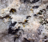 6.4cms NATIVE GOLD FERBERITE QUARTZ CRYSTAL MINERAL LB226