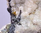 6.4cms NATIVE GOLD FERBERITE QUARTZ CRYSTAL MINERAL LB226