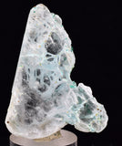 4.9cms GEM ATACAMITE INSIDE SELENITE CRYSTAL LILY MINE 2000 DISCOVERY PERU TB133